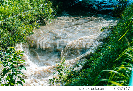 崛起的河流 116857547