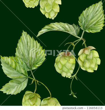Watercolor hand drawn pattern with green branches of hops on dark green background 116858113
