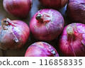 Onions arranged 116858335