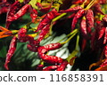 Red pepper 116858391