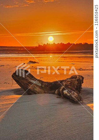 At dusk At dusk 116858425