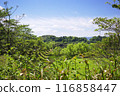 Mountain ranges in early summer 116858447