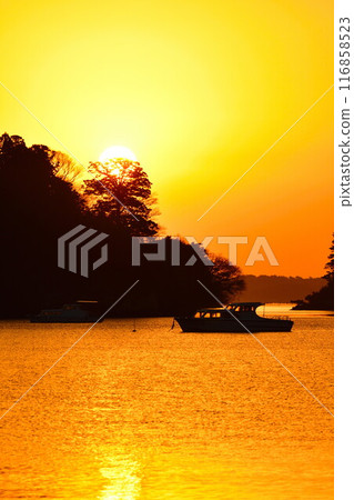 Dawn in Matsushima (Miyagi Prefecture) 116858523