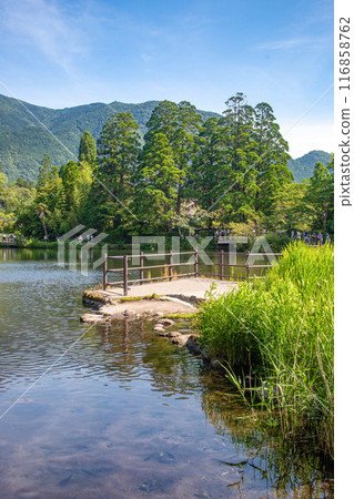 Fresh green Yufuin Kinka Lake Fresh green Yufuin Kinka Lake 116858762