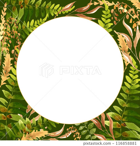 forest plants and herbs, watercolor green, brown and beige leaves of grass, fern, hand drawn illustration of meadow herbs on green background, round frame, template for card, invitation 116858881
