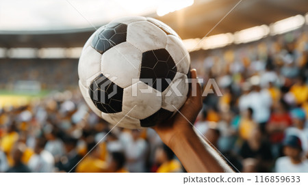 Hand Holding Soccer Ball in Stadium Hand Holding Soccer Ball in Stadium 116859633