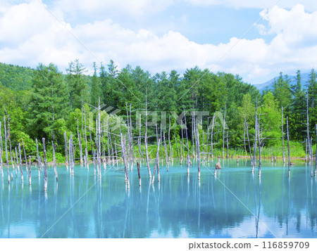 Blue pond 116859709