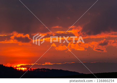 The background of beautiful sky, colorful of sky 116860254