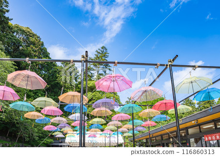 袋井市八多山曾永寺的傘空（靜岡縣） 116860313