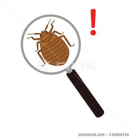 Illustration of a bedbug magnified with a magnifying glass 116860358