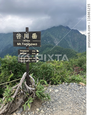 谷川岳_從谷川岳天神平眺望的景色_夏天雷雲接近谷川嶽山頂 116861235
