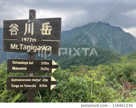 Mt. Tanigawa_View from Mt. Tanigawa Tenjindai_Summer summit of Mt. Tanigawa with thunderclouds approaching Mt. Tanigawa_View from Mt. Tanigawa Tenjindai_Summer summit of Mt. Tanigawa with thunderclouds approaching 116861236