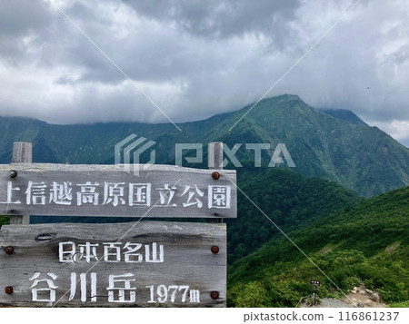 Mt. Tanigawa_View from Mt. Tanigawa Tenjindai_Summer summit of Mt. Tanigawa with thunderclouds approaching Mt. Tanigawa_View from Mt. Tanigawa Tenjindai_Summer summit of Mt. Tanigawa with thunderclouds approaching 116861237
