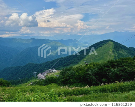 谷川岳_從谷川岳天神平眺望的景色_夏天雷雲接近谷川嶽山頂 116861239