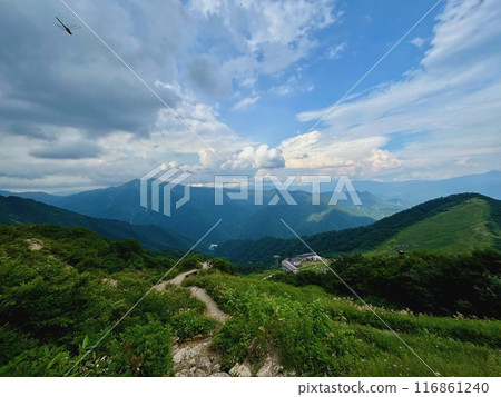 谷川岳_從谷川岳天神平眺望的景色_夏天雷雲接近谷川嶽山頂 116861240