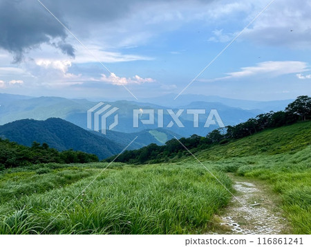 谷川岳_從谷川岳天神平眺望的景色_夏天雷雲接近谷川嶽山頂 116861241
