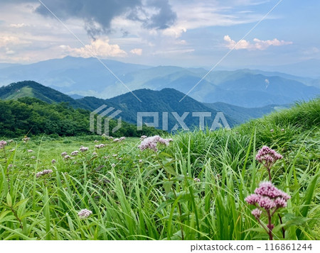 谷川岳_從谷川岳天神平眺望的景色_夏天雷雲接近谷川嶽山頂 116861244