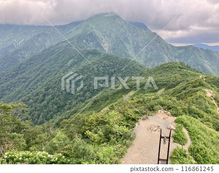 谷川岳_從谷川岳天神平眺望的景色_夏天雷雲接近谷川嶽山頂 谷川岳_從谷川岳天神平眺望的景色_夏天雷雲接近谷川嶽山頂 116861245