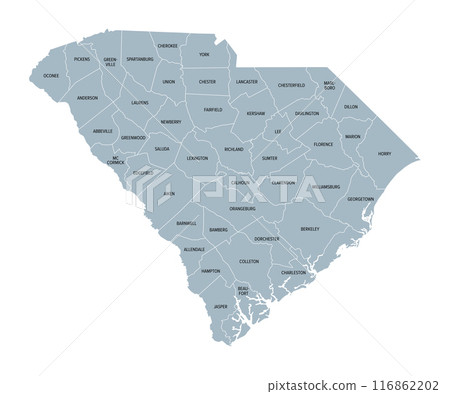 South Carolina counties, gray political map with borders and county names. State in the Southeastern region of the United States, subdivided into 46 counties. Nicknamed The Palmetto State. Vector 116862202