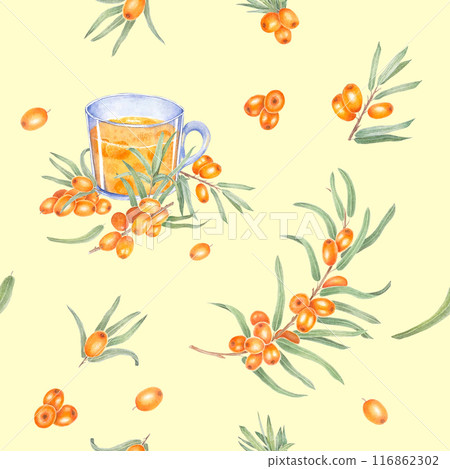 Sea buckthorn branch with orange berries. Pattern with orange sea buckthorn. Hand drawn watercolor illustration isolated on white background.  116862302