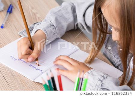 The student draws with crayons in the teddy bear school notebook as the subject of today's lesson. 116862354