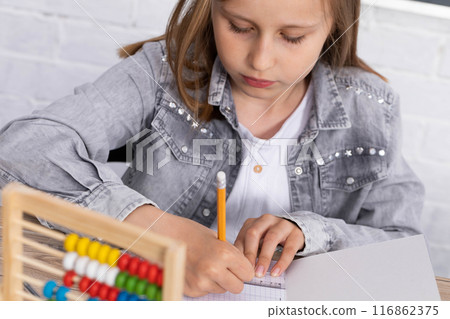 The girl solves the task given in the classroom. The schoolgirl diligently writes in a notebook. The girl solves the task given in the classroom. The schoolgirl diligently writes in a notebook. 116862375