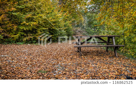 Landscape with road covered with fallen leaves through forest. Wonderful autumn forest landscape with a picnic table. Landscape with road covered with fallen leaves through forest. Wonderful autumn forest landscape with a picnic table. 116862525