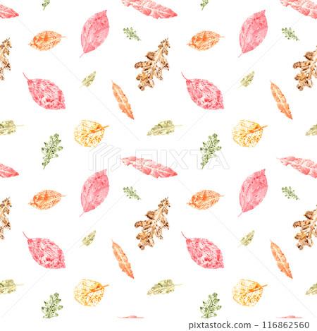 Autumn leaves in red, orange, yellow and green hues. Imprint of dried leaves. Watercolor leaf pattern in warm, earthy tones. Seamless ornate. For seasonal designs, wallpapers, textiles and invitations 116862560