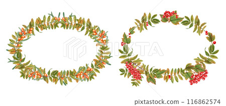 Rowan and Sea buckthorn berries with autumn leaves. Sorbus aucuparia, mountain-ash. Oval wreath with copy space for text. Autumn composition. Watercolor illustration. For greetings, invitations 116862574