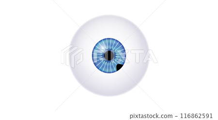 Iris melanoma anatomy 116862591