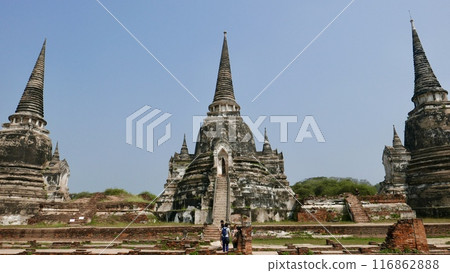 A landscape of pagodas and Buddha statues 116862888