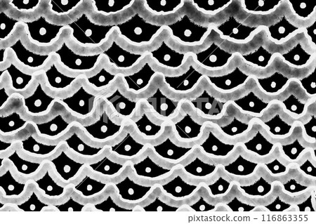 Abstract bubbles snake fish animal drawing bold black white pattern scales ornament dots animalistic skin ink watercolor 116863355