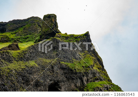 冰島柱狀節理岩石 冰島柱狀節理岩石 116863543