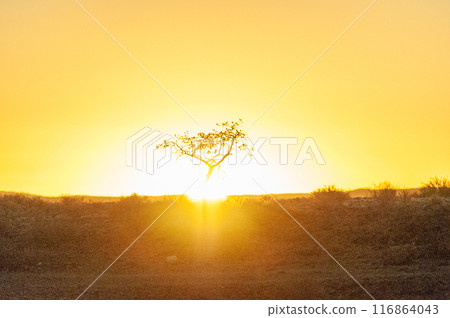 Sunset at Sesriem Canyon 116864043