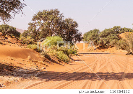 Desert landscape near Sossusvlei Desert landscape near Sossusvlei 116864152