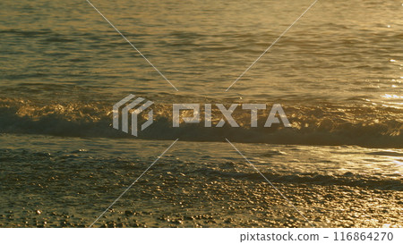 Travel Beginning. Ocean Water And Dramatic Sun Down Sea Waterscape. Summer Sunset Seascape. Real time. 116864270