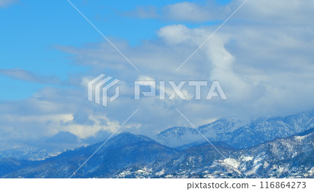Fascinating Nature View. Trees With Revealing Snow-Capped Mountains. Timelapse. 116864273