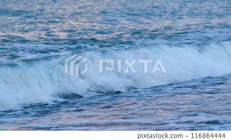 Dawn Sky Over Serene Ocean Surf. Sunlight Reflect On Water Surface. Calm Marine Scenery. Static view. Dawn Sky Over Serene Ocean Surf. Sunlight Reflect On Water Surface. Calm Marine Scenery. Static view. 116864444