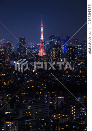 Tokyo night view after the rain Tokyo night view after the rain 116864586