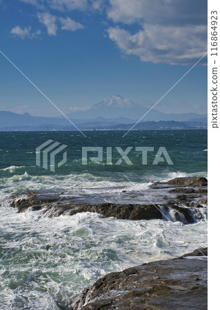[藤澤市] 江之島志後淵 116864923