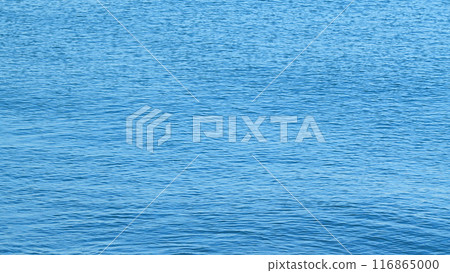 Morning Blue Calm Sea. Natural Blue Background. Wide Open Sea Side With Ripples Of Waves. Still. 116865000