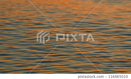 Surface Water Of Sea Or Ocean At Sunset Time With Golden Light. Rippled Surface Of Orange And Teal Tones Sea Water In Sunset. Slow motion. 116865010