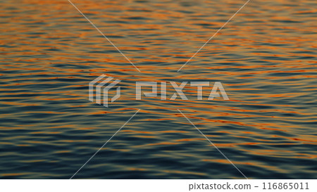 Vibrant Sea Surf With Sunset Light Reflection. Sun Reflects And Sparkles On Waves With Bokeh Lights. Slow motion. 116865011