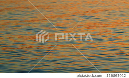 Travel Beginning Nature Concept. Beautiful Peaceful Gold Sunny Sunset Sea Water Background. Abstract Natural Liquid Surface Background. Slow motion. 116865012