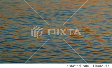Orange Sea At Sunset. Ocean Beach Waves On Beach At Sunset Time. Sunset Ocean Background. Slow motion. 116865013