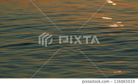 Sun Reflection And Ripples On Sea Water Surface At Sunset. Sea Water Background. Slow motion. 116865019