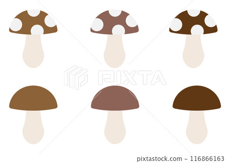 Cute mushrooms Cute mushrooms 116866163