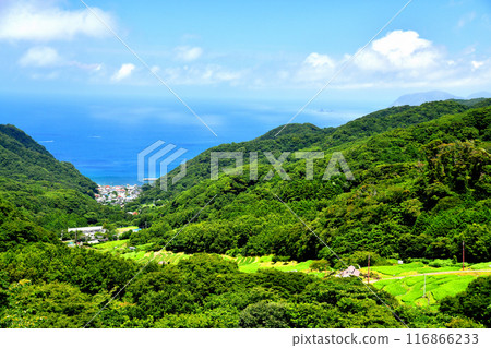 石部梯田/石部海濱地區景觀（靜岡縣松崎町） [2024.7] 116866233