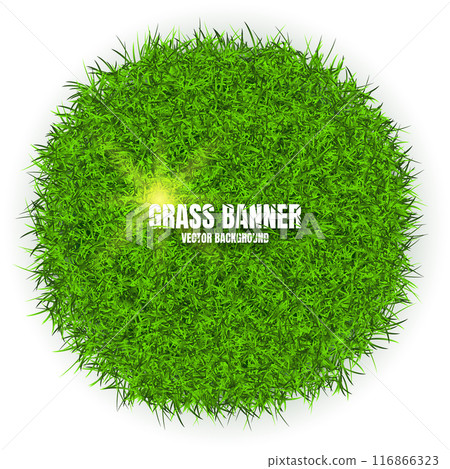 Green grass banners, background. Field, meadow texture, grassy landscape. Organic, bio, eco and natural lifestyle design elements. Ecology and environment protection. Vector illustration 116866323