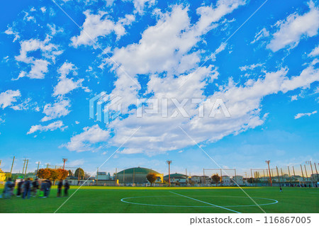 Well-maintained soccer field soccer field soccer field soccer fresh greenery 116867005